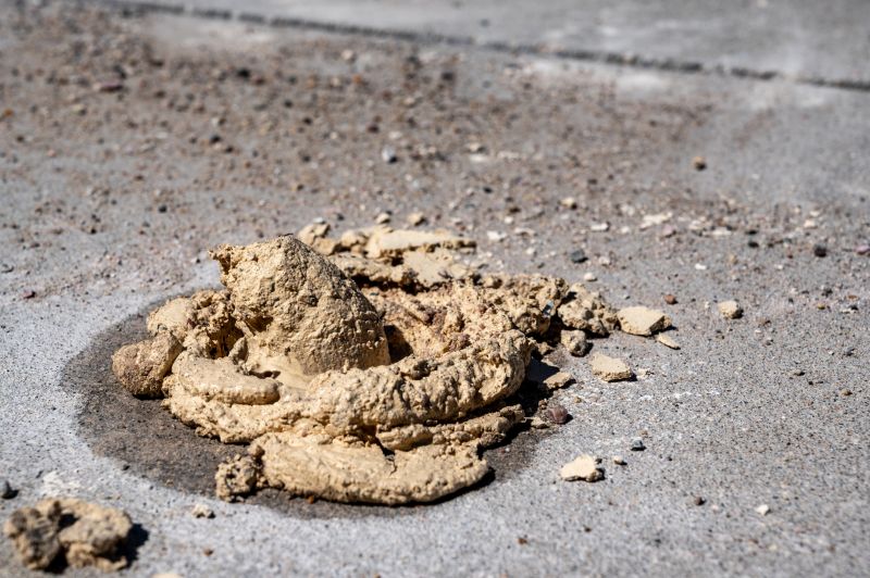 Land Clearing Service