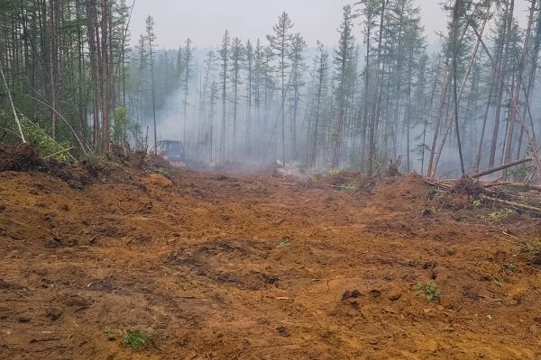 Cost of Hill Clearing in Milton