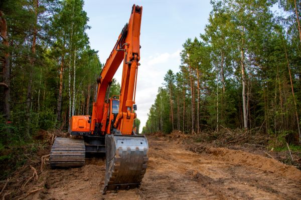 Cost of Backhoe Land Clearing in Milton